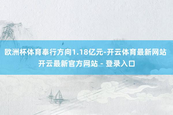 欧洲杯体育奉行方向1.18亿元-开云体育最新网站 开云最新官方网站 - 登录入口