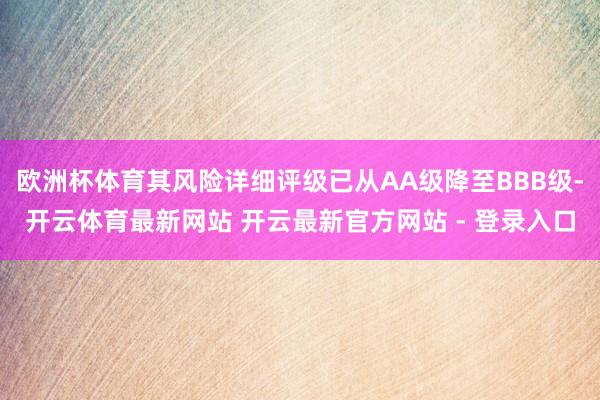 欧洲杯体育其风险详细评级已从AA级降至BBB级-开云体育最新网站 开云最新官方网站 - 登录入口
