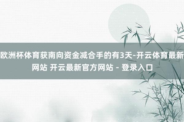 欧洲杯体育获南向资金减合手的有3天-开云体育最新网站 开云最新官方网站 - 登录入口