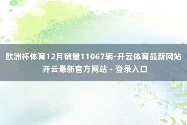 欧洲杯体育12月销量11067辆-开云体育最新网站 开云最新官方网站 - 登录入口