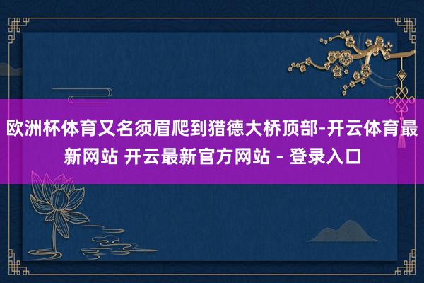 欧洲杯体育又名须眉爬到猎德大桥顶部-开云体育最新网站 开云最新官方网站 - 登录入口