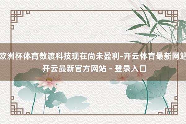欧洲杯体育数渡科技现在尚未盈利-开云体育最新网站 开云最新官方网站 - 登录入口